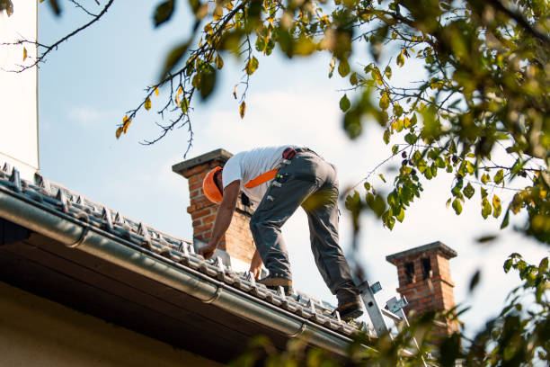 Best Roof Installation Near Me  in Woodbine, GA