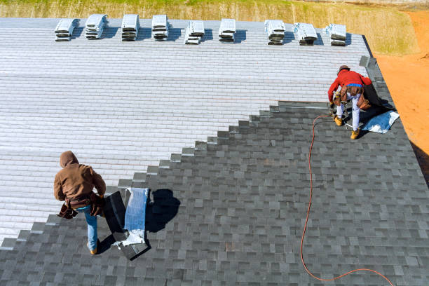 Best Roof Maintenance Services  in Woodbine, GA