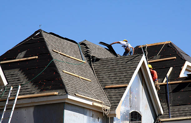 Best Roof Leak Repair  in Woodbine, GA