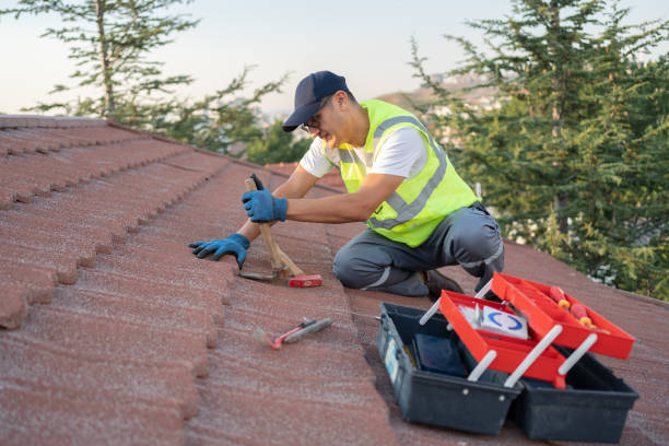 Best Sealant for Roof  in Woodbine, GA
