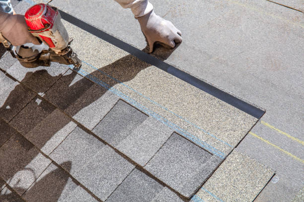 Best Metal Roofing Contractor  in Woodbine, GA